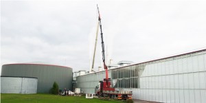 rozenkas-schoorsteen-plaatsen-mkdekwakel